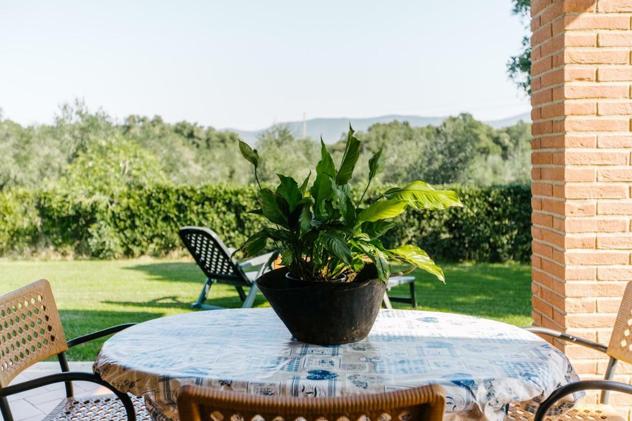 Agriturismo Casa Andreina Castiglione della Pescaia Dış mekan fotoğraf