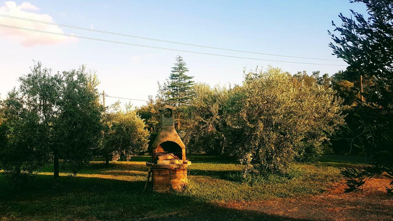 Agriturismo Casa Andreina Castiglione della Pescaia Dış mekan fotoğraf