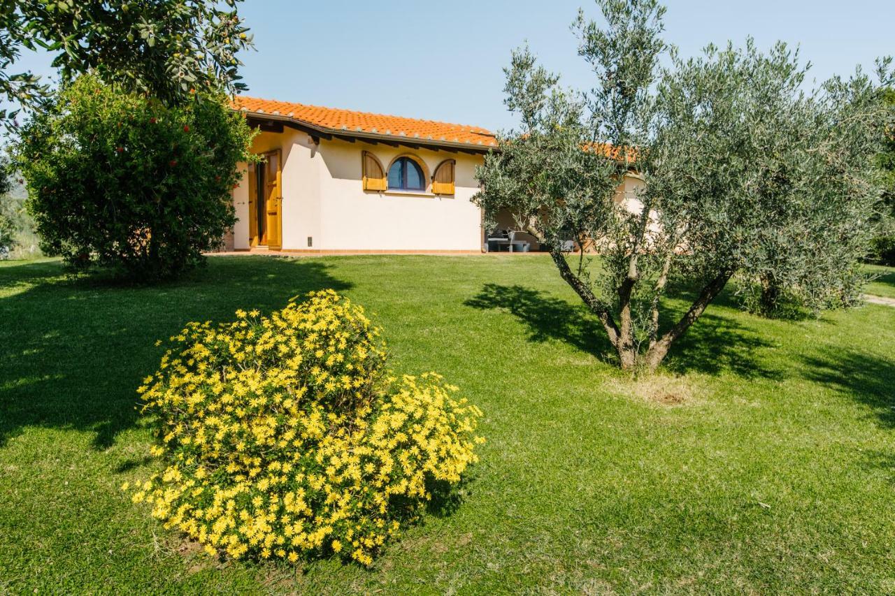 Agriturismo Casa Andreina Castiglione della Pescaia Dış mekan fotoğraf